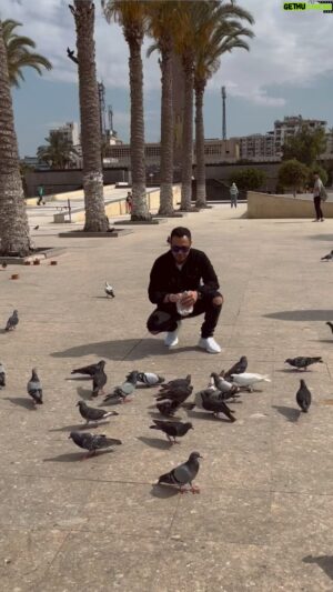Mohamed Nagaty Instagram - 🕊🤍..

#reel#nagaty#mohamednagaty#actor#egyptianactor#نجاتي#محمدنجاتي#reeloftheday#video#