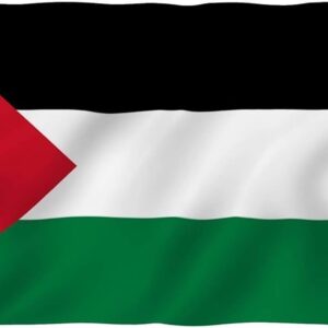 Mohamed Saad Instagram - اللهم احفظ المسجد الأقصى من عدوان المعتدين ومكر الماكرين  اللهم لا ترفع لاعدائك فيه راية واجعلهم عبرة واية وانصر  اخواتنا في فلسطين آمين 🤲 يارب العالمين