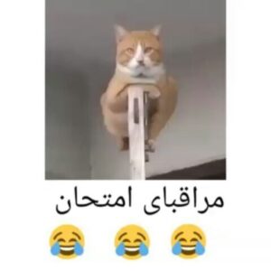 Mohammad Safari Instagram - حکایت مراقب هاے امتحانات 
خخخخخخخ😜😝😝 ما را دنبال کنید 😜👇👇
@MSafariofficial

#mohammadsafari #mohammad_safari #msafariofficial
#محمدصفری #محمد_صفری