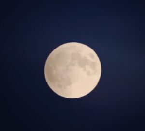 Mohammad Safari Instagram - 👈🏃👈👈👈🏃👈👈
.

تایم لپس زیبا از ماه گرفتگی دیشب در ایــران ، برای اونایی که دیشب پدیده 
بی نظیر قرن رو از دست دادند !! .
.
توضیحات عکس دوم : 
طولانی ترین ماه گرفتگی قرن ۲۱ که تقریبا از تمام دنیا قابل مشاهده بود

عکس و فیلم بالا از فاصله ی بسیار دور با لنز تله ۷۵۰ میلیمتری و با تکنیک دبل اکسپوز گرفته شده است. .
.
.
Time of the Lunar Eclipse last night in the beautiful lpes Iran, for an unparalleled phenomenon last night avnayy century got lost!!
Blood moon and Milad Tower The new symbol of Tehran, the capital of Iran
The longest eclipse of the 21st century, which was visible to almost all the world
This picture is taken from a far distance with a 750mm telephoto lens with the Duble Exposue technique .
.
.
@naturenatgeo @nasa @canonusa
@natgeo @natgeoyourshot @natgeofarsi @natgeotravel @ngmfarsi @twanight  #cosmology #universe #beauty #eclipse #hst #bible #galaxy #astronomy #amazing #bibletext #naturelovers #nasabeyond #space #constellation #hubbletelescope #cosmos #creation#night_photography
#nasasocial
#nasa 🔭 #mohammadsafari #mohammad_safari #msafariofficial
#محمدصفری #محمد_صفری

#سازمان_فضایی_ایران 🔭
@iranian_space_agency 🔭
#iranian_space_agency 🔭