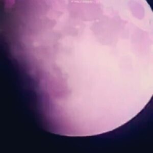 Mohammad Safari Instagram - 🔭
🔭

آنی که بَری خسوف از ماه؛
آن ماه نه‌ای که در خسوفی... 🔭
.
و خــــــــدا هست مهربانتــر از حـــد تصـــورتان !!! .
.
شبتون پــر ستــاره 🌙⭐
.
ماه گرفتگی‌ امشب که طولانی ترین خسوف قرن خواهد بود، نمونه ی مشابهش در سال ۱۴۸۴ شمسی اتفاق می افتد ! 
یعنی تقریبا هیچ فرد میانسالی دیگر مشابه این ماه گرفتگی را هرگز نخواهد دید. 🔭 .
.
🌘🌑🌒🌓🌔🌖🌗🌘🌕🌚🌌
.
.
 امشب فاصله‌ی زمین و مریخ به‌شدت کم شده و این باعث شده تا این سیاره‌ی در آسمان شب به بهترین شکل ممکن دیده شود.🔭 مریخی که چند سال دیگر محل زیست انسان ها خواهد شد. 🌖اطلاعات خسوف امشب:

لحظه‌ی ورود به نیم سایه: 21:44:47
لحظه‌ی گرفت جزئی: 22:54:28
لحظه‌ی گرفت کلی: 00:00:16
اتمام گرفتگی: 01:43:14

#سازمان_فضایی_ایران 🔭
#نجوم #ناسا#ستاره
#ماه#خسوف
#ماه_گرفتگی#رصدخانه
#mohammadsafari #mohammad_safari #msafariofficial
#محمدصفری #محمد_صفری
@natgeo @natgeoyourshot @natgeofarsi @natgeotravel @ngmfarsi #cosmology #hubble  #universe #beauty  #astronomy #amazing #bibletext #naturelovers #nasabeyond #space  #hubbletelescope#night_photography
#nasasocial

@iranian_space_agency 🔭
@nasa 🔭
@khoda_official 🙏
#iranian_space_agency 🔭

۱۳۹۷/۵/۵ 
Photo by me : @MSafariofficial