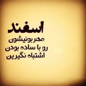 Mohammad Safari Instagram - #mohammadsafari #mohammad_safari #msafariofficial
#محمدصفری #محمد_صفری