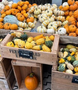 Molly Cardinal Instagram - Everything is better during fall season🧡🍂