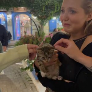 Molly Manning Walker Instagram - Our legend @mia_mbruce is up for a bafta rising star award. It’s a public vote, if you feel like voting there’s a link in my bio. Look how much she loves animals and coming to work on her day off. She’s a human mic and also loves cold water swimming.
