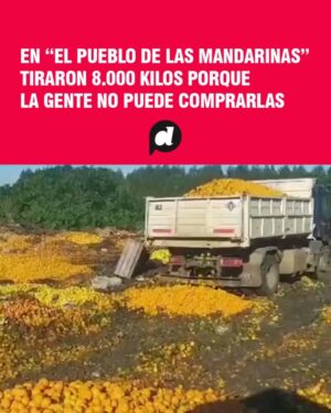 Mónica Cabrera Instagram - #Repost @datadiario 
——
🚨 TIRAN A LA BASURA TONELADAS DE MANDARINA PORQUE NO LAS COMPRAN

❗ En el pueblo Villa del Rosario, en #EntreRíos, productores tiraron 8000 kilos de #mandarinas en un basural y el video se viralizó en redes.

🗣 "Las fábricas están saturadas. La fruta se pudre y se pierde porque la gente no tiene plata para comprarla", declaró #ElvioCalgaro, que es productor citrícola, dirigente de la Federación Agraria y expresidente de la Federación de #Citricultores de Entre Ríos.