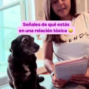 Mónica Cabrera Instagram - #Repost elistolle 
——
Este perrito es “Wako” 🧡🐾 y su dueña que tiene todos los créditos del video los encuentras en la otra red… que empieza con T! 😍 wakoykimbo