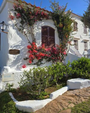 Mónica Jardim Instagram - "Bienvenidos al pueblo de Fornells, lugar de casas blancas que mira continuamente al mar" 
Esta é mais uma vila piscatória de visita obrigatória mas desta vez no norte de Menorca 💙

#fornells #menorca
