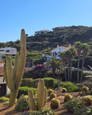 Mónica Jardim Instagram - "Bienvenidos al pueblo de Fornells, lugar de casas blancas que mira continuamente al mar" 
Esta é mais uma vila piscatória de visita obrigatória mas desta vez no norte de Menorca 💙

#fornells #menorca