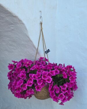 Mónica Jardim Instagram - Tem sido muito giro receber mensagens de seguidores a dizer que Menorca também foi o destino eleito para as férias. Para uns vai ser estreia absoluta, para outros é um regresso a esta ilha carregada de charme e personalidade. 
Pois bem, para aqueles que virão pela primeira vez, aqui vos deixo mais uma sugestão imperdível: Binibeca. Uma pequena vila com estilo pitoresco, desenhada para parecer uma vila piscatória. Assim que começamos a percorrer as suas ruelas estreitas com as suas casas caiadas, parece que entramos na aldeia dos estrumfes 😜💙

#binibecavell #menorca