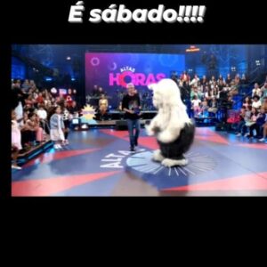 Mônica Rossi Instagram - E finalmente o tão esperado encontro com @serginhogroisman !
@priscilashowoficial no @altashoras!

@paulo.adriane
@fernanda.dsilveira
@beto_dorneles
@isa.dornelesss
@ferreluiz
@silcury 
@mariojorgedeandrade 

#tvcolossoforever #geracaotvcolosso #priscilatvcolosso #tvcolosso
#greysanatomy #sitiodopicapauamarelo
#programaçãoinfantil
#redeglobo