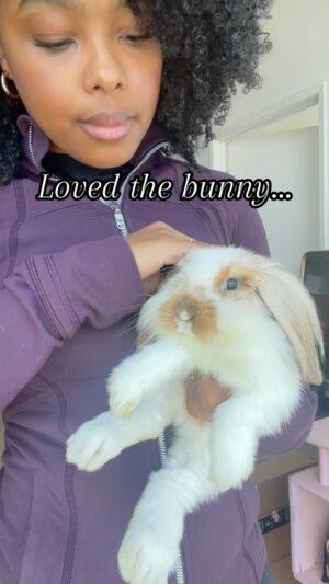 Monique A. Green Instagram - Such an unexpected but sweet surprise ✨💞

#rabbit #bunny #bunnylove #lost #rescue #reelsinstagram #reels #instagood