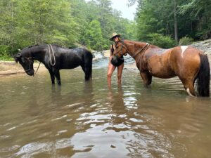 Monique Ganderton Instagram - Spending as much time in my happy place as possible. Love these creatures so much! Baby and AlberTa - my two ❤️ horses. 🐴 #cochranmillspark #blmmustang #mustanghorsesofinstagram