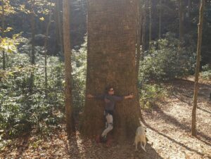Monique Ganderton Instagram - Such a fun quick trip to the beautiful GA mountains! Highly recommend for Mountain bikes and wine and some stunning views. And I got to hug one of the oldest Poplars in GA! Gennett Poplar :) 🏕️🥰 🏡 @mulberrygapadvbasecamp and yummy 🍷 @roomountainvineyards ❤️
