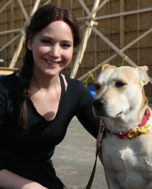 Monique Ganderton Instagram - Piper

One of my best friends and sweet Adventurous angel. From the  kill list at South Central LA shelter to running wild in Malibu, Vancouver and Georgia. She taught every dog how to dip out, dig under fences and run through mountains. Usually coming home in a few hours but did end up at famed Celebrity rehab Promises once. She sat in first class with me eaves dropping on Sharon Stone and even starred in Hunger games Mockingjay - her phenomenal performance was cut because it took away from the lead actors sadly. 😉They all went on to take photos with her. Piper met the love of her life in Georgia. Brutus (as we called him) would break out of his house and Piper would dig under the fence to go on hours long adventures at my dismay. She always arrived home with a pep in her step (and once with an armadillo) He would drop her off and trot back to his worried parents. Pipers long time best friend Hannah was her voice of reason for their time with me. They snuggled and travelled everywhere together, lake, ocean and many mountain hikes in BC. Piper was the most gentle with kiddos and a spicy scrapper when the time was needed. She befriended Coyotes in every state and I thought she was part coyote at one point. I think she knew how to speak wild with them. Piper, thank you for your friendship, love and keeping me on my toes for your 14 years of life. Love you and I’ll miss you forever. Rest well my special Squish. ❤️❤️❤️