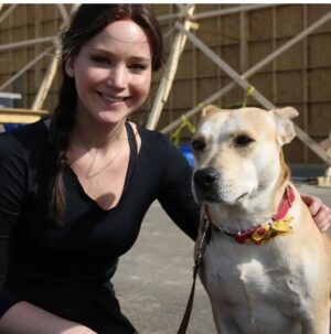 Monique Ganderton Instagram - 7 years ago Piper got a part in the hunger games. It was ultimately cut .. because it was soo emotional! She did such a great job running through the crowd with her leash dangling as explosions went off. So proud! She’s a rockstar everyday! 🥰❤️ #jenniferlawrence