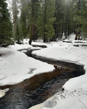 Montana Jordan Instagram - 2024 Sequoia National Park