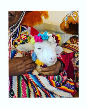 Montserrat Marañon Instagram - A veces me pongo chipil, pero me acuerdo de Perú y se me quita...
🇵🇪 ❤️ 
#TBT #RegrésenmeaPerú #llamasami