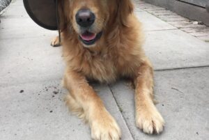 Monty Don Instagram - Today would have been Nigel's 16th birthday. We shall drink deep to his memory.