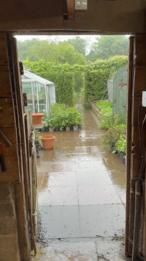 Monty Don Instagram - Glorious May!