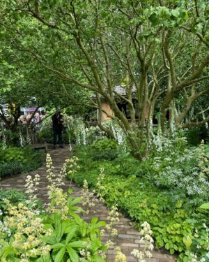 Monty Don Instagram - I thought the NGS  garden by Tom Stuart Smith sublime- and worth visiting chelsea flower show for on its own.