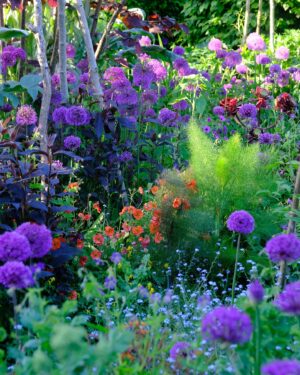 Monty Don Instagram - The Jewel garden