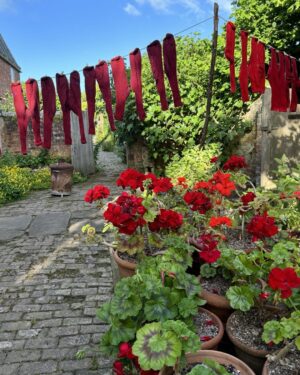 Monty Don Instagram - Scarlet start to the day