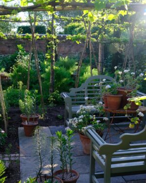 Monty Don Instagram - The remade sitting area still has a lot of growing to do - but at last some sun to sit in!