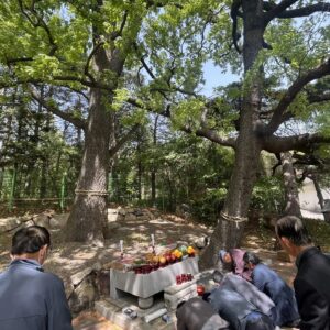 Moon Jae-in Instagram - 지산마을 당산제. 특별한 것은 굴참나무가 당산나무라는 것. 할아버지 당산나무와 할머니 당산나무가 나란히 장하게 서있다.
#문재인 #평산의봄과함께