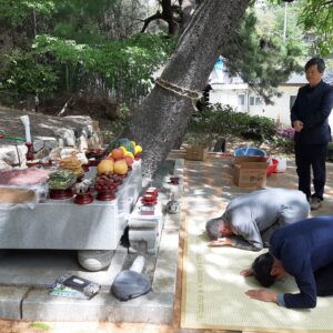 Moon Jae-in Instagram - 지산마을 당산제. 특별한 것은 굴참나무가 당산나무라는 것. 할아버지 당산나무와 할머니 당산나무가 나란히 장하게 서있다.
#문재인 #평산의봄과함께