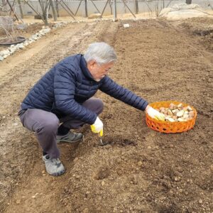 Moon Jae-in Instagram - 올겨울 끝자락에서 만난 천성산 상고대와
올해 첫 농사, 감자 심기.