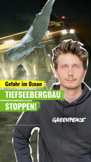 Moritz Jahn Instagram - (english below)
Neben Walen bedrohen die riesigen Maschinen das gesamte Ökosystem. Sie entreißen der Erde Rohstoffe, indem sie Manganknollen abbauen. Tiefseekraken wird damit die Brutstätte für ihren Nachwuchs entrissen. Viele weitere Lebewesen - von Qualle bis Anglerfisch - und auch welchen, die wir noch gar nicht kennen, könnte die Lebensgrundlage entrissen werden. Es könnten Kettenreaktionen ausgelöst werden, deren Konsequenzen der Mensch noch gar nicht begreifen kann. 🐙🤯🐋

Das alles, obwohl es nachweislich für Energie- und Verkehrswende keine Ressourcen aus der Tiefsee braucht!
Die Zeit rennt: Schon im Juli 2023 kann bei der Internationalen Meeresbodenbehörde der Startschuss für die Plünderung der Tiefsee fallen. Deutschland hat sich gemeinsam mit weiteren Ländern schon für eine “vorsorgende Pause” ausgesprochen.

Jetzt muss sich die deutsche Bundesregierung auch dafür einsetzen! Hilf uns, den Raubbau in der Tiefsee zu verhindern: Unterschreibe jetzt den @greenpeace.de -Appell an Robert Habeck! (Link in der Bio).

———————
Besides whales, the giant machines threaten the entire ecosystem. They grab ressources from the seabed by mining manganese nodules. Deep-sea octopuses are thus deprived of the breeding ground for their offspring. Many other creatures - from jellyfish to frogfish - and also some that we don’t even know yet, could have their livelihood snatched away. Chain reactions could occur, the consequences of which people cannot yet understand.

All this is supposed to happen, although it has been proven that no resources from the deep sea are needed for the energy and transport turnaround!

Time’s running: As early as July 2023, the International Seabed Authority could start exploiting the deep sea. Germany has also called for a „precautionary pause“.

Now the German and other governments must take action! Share this video and sign the petition to raise awareness of the impact of deep-sea mining! (link in bio) 👆

#deepseamining #stopdeepseamining #tiefseebergbau #savethewhales #spermwhale #pottwale #wale #protecttheoceans #greenpeace #dark