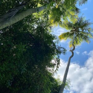 Mouna Traoré Instagram - sun’s out, buns out ☀️🇧🇧