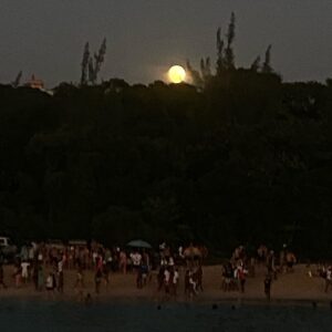 Mouna Traoré Instagram - Cold Moon 🌕✨