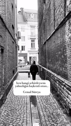 Murat Tavlı Instagram - “Ben hangi şehirdeysem yalnızlığın başkenti orası…”
Der üstat…

#cemalsüreya #murattavlı #reels #instagram #şiirsokakta