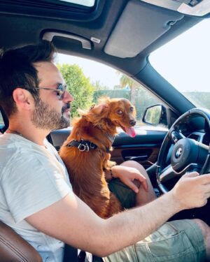 Murat Tavlı Instagram - Sen arabayı sür Murat Adam, ben bakıp gülerim. 🥰🐶

#murattavli #latteyimben #istanbul #pet #petslovers #dogsofinstagram #köpek