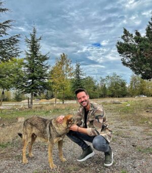 Murat Tavlı Instagram - Sokaklar bizim❤️🐶

#murattavli #keşfetteyiz #keşfet #istanbul #photooftheday #dogoftheday #dog