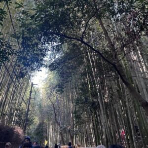 Murielle Telio Instagram - Kyoto 🇯🇵