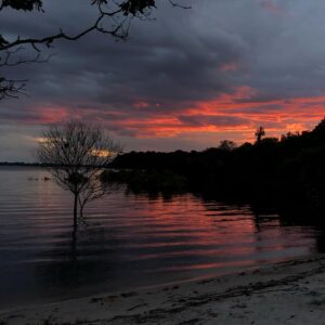 Murilo Meola Instagram - Estivemos banhados pelo Cuieiras e Rio Negro no coração da Amazônia 🎬 São praticamente 30 dias caminhando pelo Brasil narrando histórias fortes de mulheres transformadoras na Amazônia, interior de Pernambuco, Santa Catarina, São Paulo #tododiaedia #documentario #serie #filme #consul #whirlpool #consuladodamulher