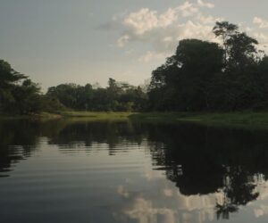 Murilo Meola Instagram - No dia da Amazônia (05/09) gravando e ouvindo  @kamila_camilo sobre sonhos coletivos e sensibilidades para fechar nosso projeto em parceria com a @creatorsacademybrasil por uma busca por justiça climática e conexões 🎬 A @tear.filmes foi ao extremo oeste do Brasil, dirigida pelo meu sócio e parceiraço @flavioermirio com um time querido 🙌🏼 escutar a história de resiliência e de reconquistas do @puyanawaoficial e gravar a imersão Amazônica feita pela Creators com muita gente bacana! Acompanhem no perfil da @creatorsacademybrasil  #creatorsacademy #puyanawa #ods #criseclimatica #esg #tearfilmes