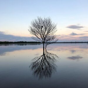 Murilo Meola Instagram - Estivemos banhados pelo Cuieiras e Rio Negro no coração da Amazônia 🎬 São praticamente 30 dias caminhando pelo Brasil narrando histórias fortes de mulheres transformadoras na Amazônia, interior de Pernambuco, Santa Catarina, São Paulo #tododiaedia #documentario #serie #filme #consul #whirlpool #consuladodamulher
