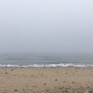 Murray Bartlett Instagram - Morning fog with my four-legged soul mate