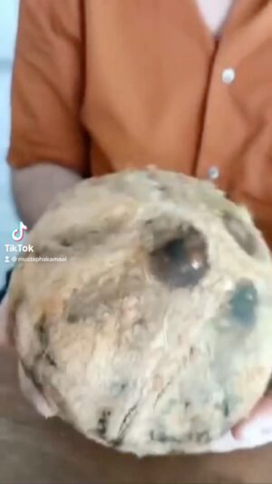 Mustapha Kamal Instagram - Terbaik … peluang terbuka