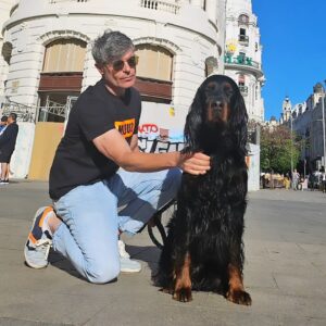 Nacho Guerreros Instagram - La lealtad es un don muy valioso presente en todos los perritos y en algunas personas. Cuidemos de ellos.