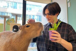 Nakhun Screaigh Instagram - My dream of meeting a capybara came true ✨

カピバラビッグラブ🫶