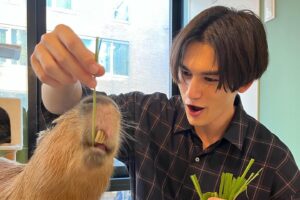 Nakhun Screaigh Instagram - My dream of meeting a capybara came true ✨

カピバラビッグラブ🫶