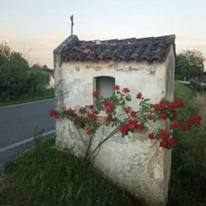 Nalan Kuruçim Instagram - 