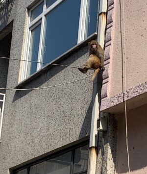 Nalan Kuruçim Instagram - 
