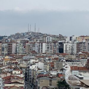 Nalan Kuruçim Instagram - 