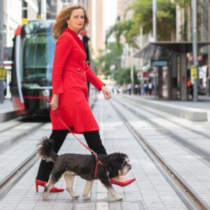 Naomi Simson Instagram - Jack! Mr Head of Intelligence ☺️ 🐶 #sydney #workdogs