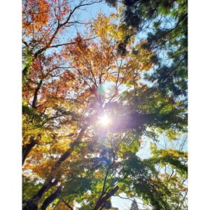 Naomi Zaizen Instagram - 🍙
先日の両子寺
紅葉🍁がキレイで癒されました😊
受付のお姉さんとも📷️✨
🍙
#両子寺 #紅葉 #🍁 #キレイ #癒し #大分県 #杵築 #財前直見 #🍙